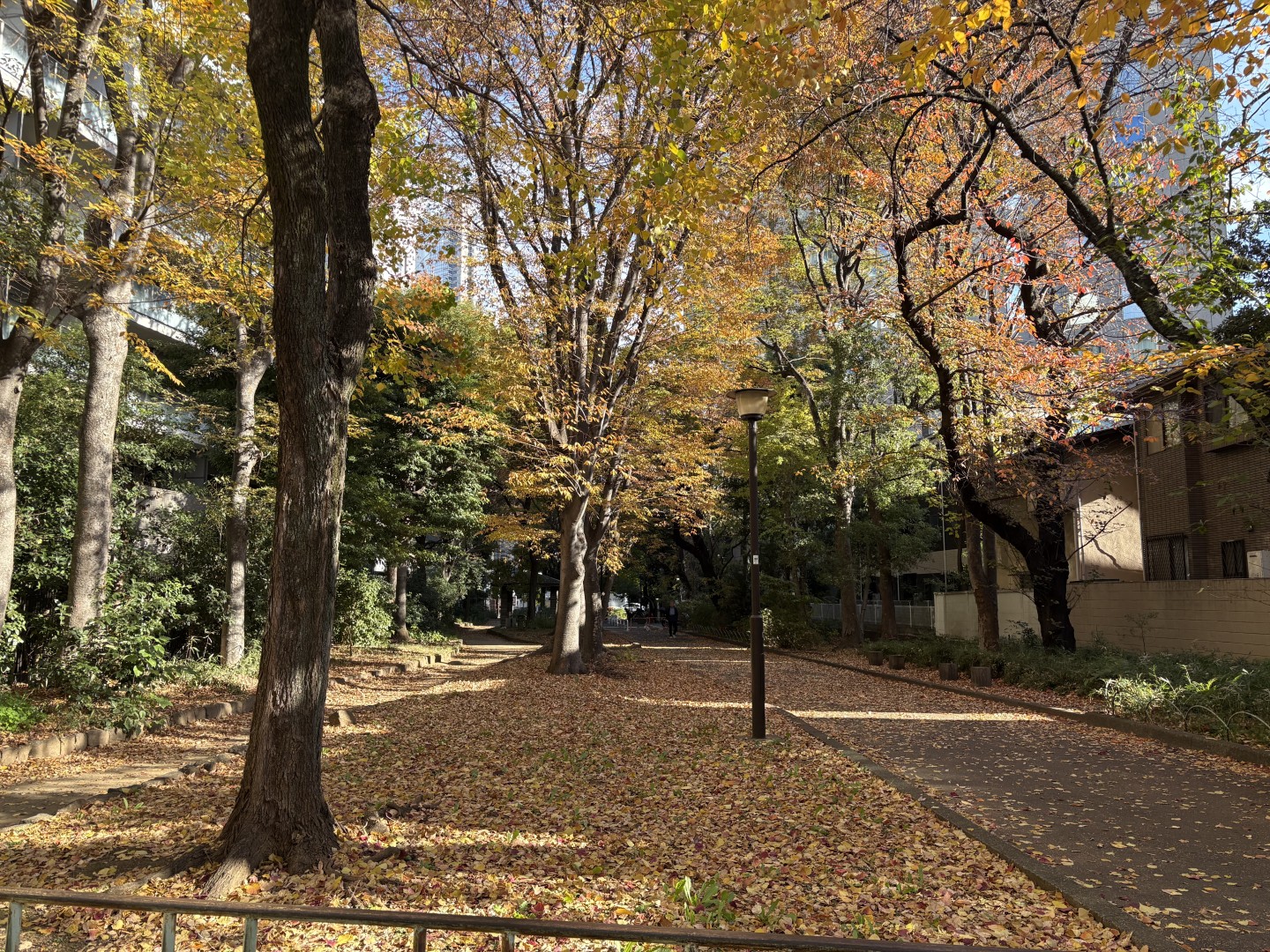 One minute walk from my apartment